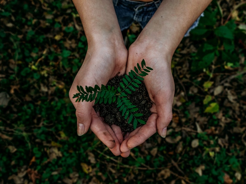 Environmental commitment
